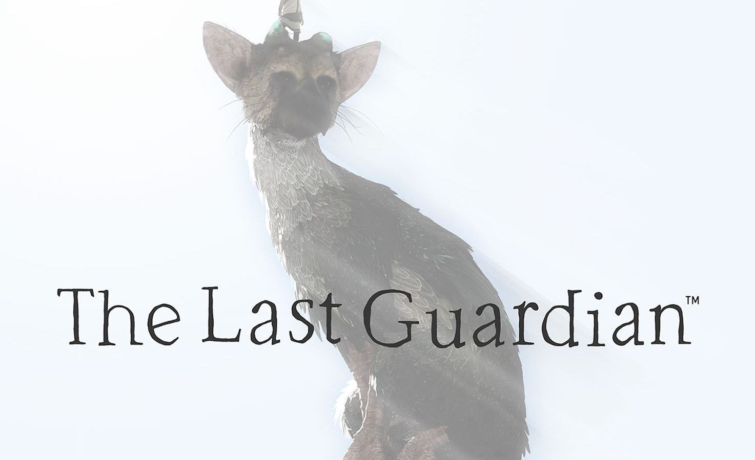 lastguardian